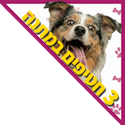 3 חטיפים מתנה