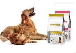 אוונטיס AVANTIS – תזונה מדעית לכלב שישגשג!